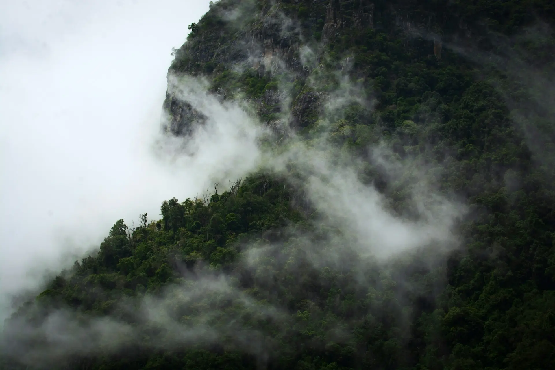 green trees on mountain under white clouds