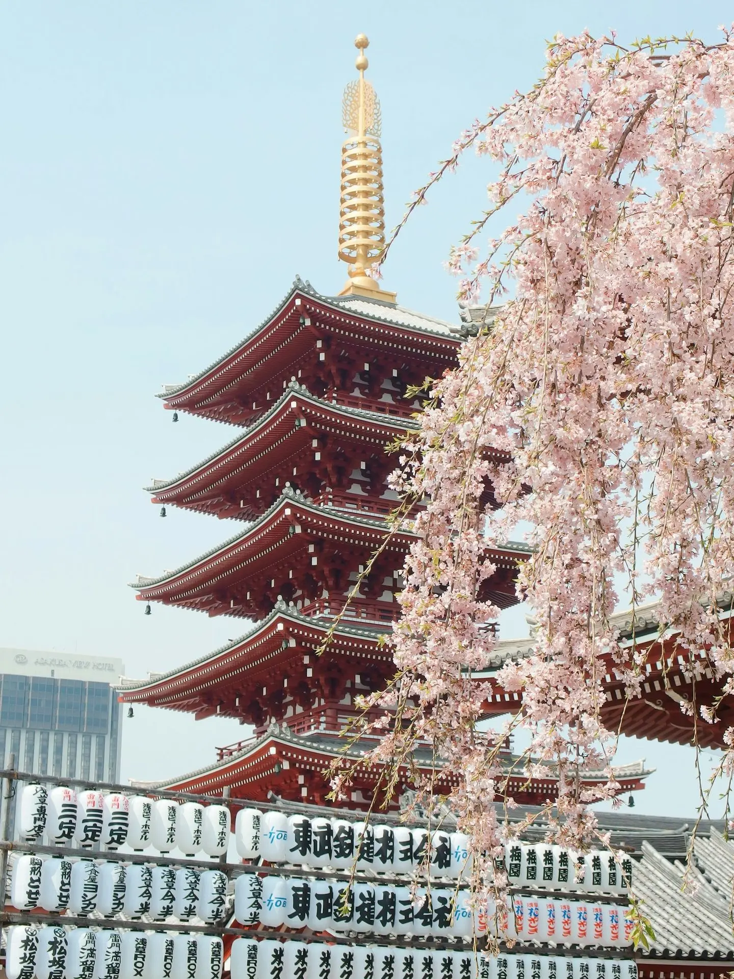 Asian Pagoda with Cherry Blossoms