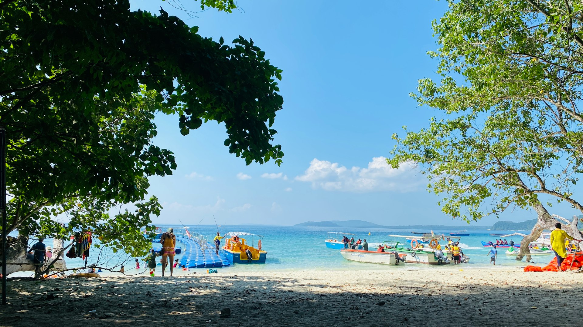 Palm-fringed beach on Havelock Island with clear waters
