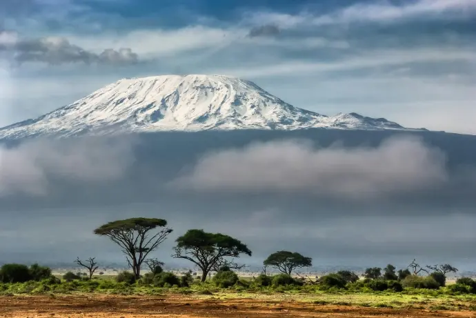 Mount Kilimanjaro view with elephants in Amboseli National Park