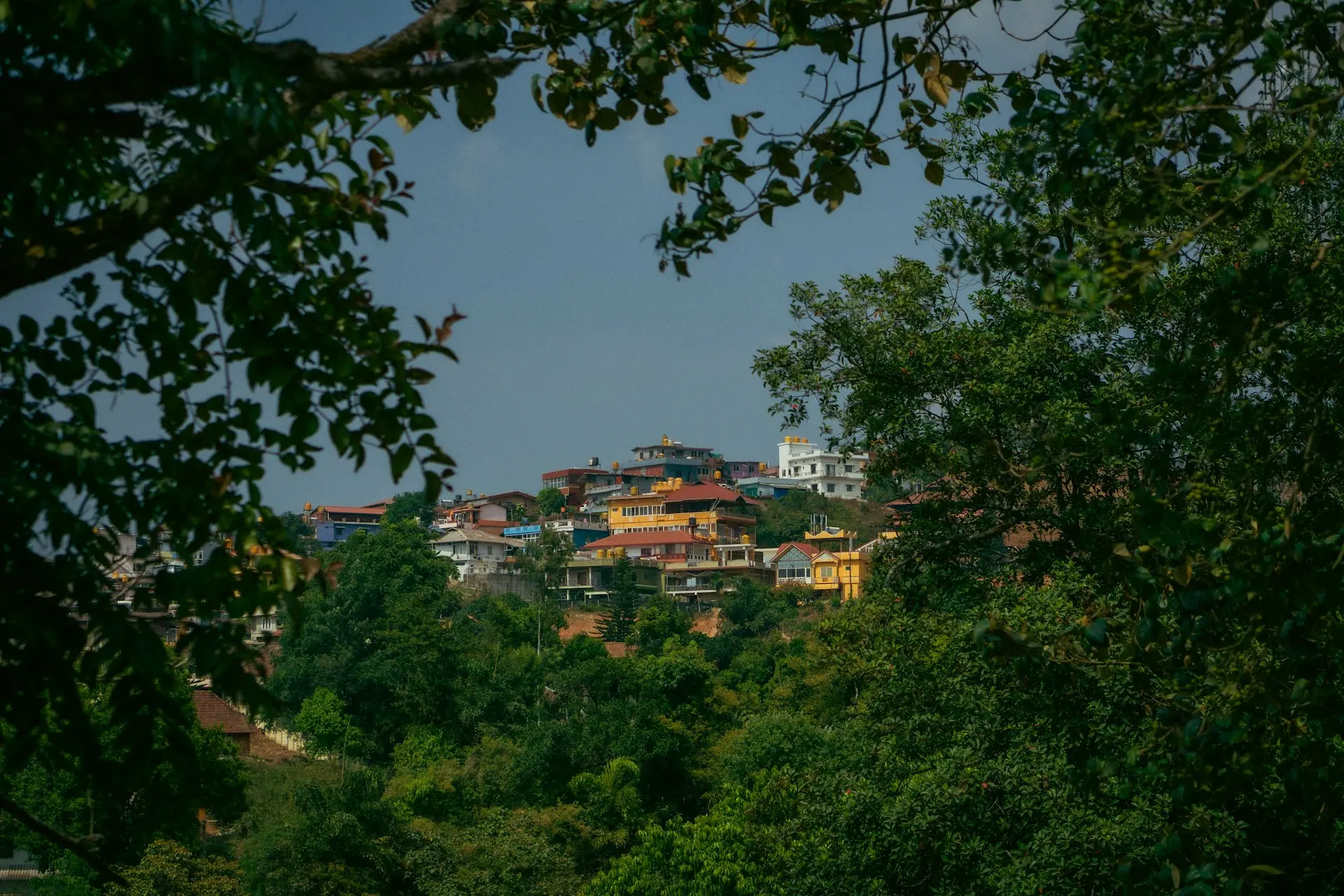 a view of a city from a distance through the trees